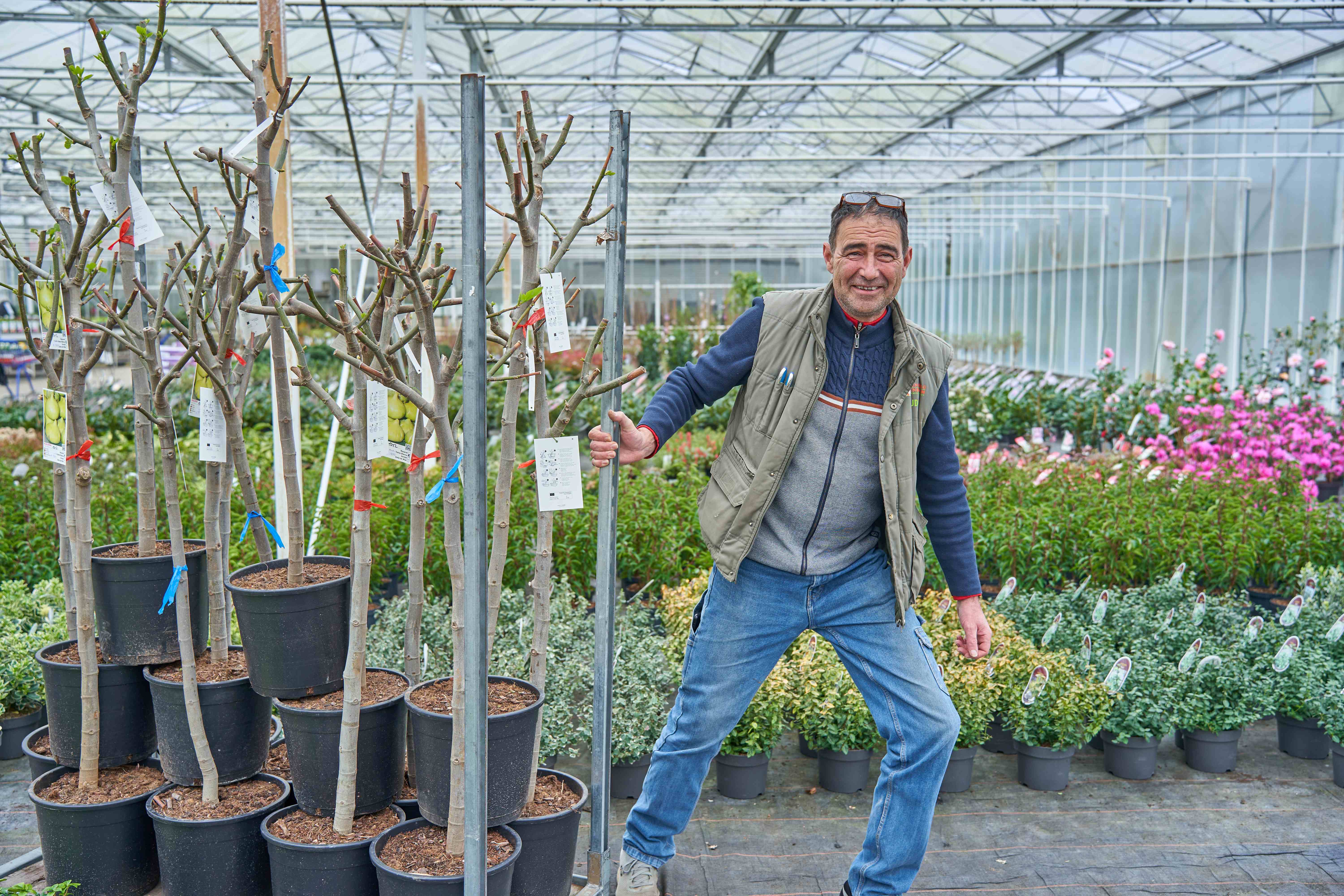 Welkom bij kwekerij Knippenberg-Eijkenboom