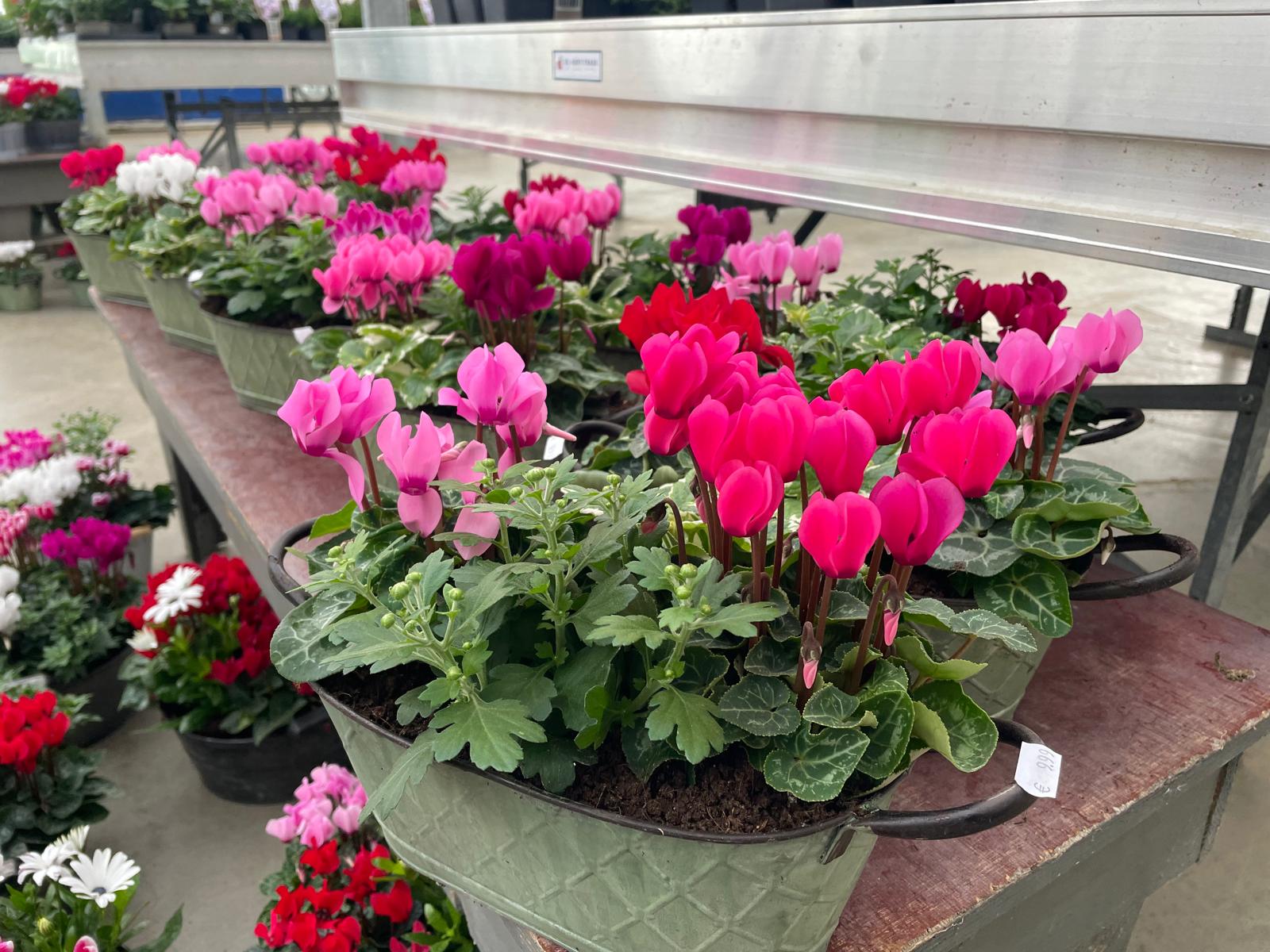 Een greep uit ons assortiment!